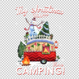 CAMPING 352