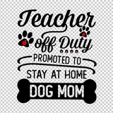 TEACHER 311