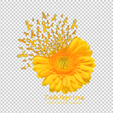 CHILDHOOD CANCER AWARENESS 33