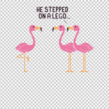 FLAMINGO 16