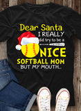 SOFTBALL 10
