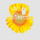 CAMPING 154