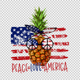 HIPPIE 103
