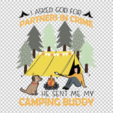 CAMPING 242