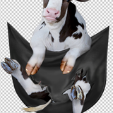 COW 10