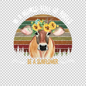COW 81