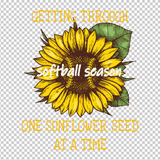 SOFTBALL 152