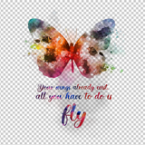 BUTTERFLY 8