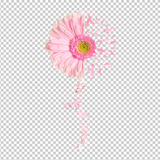 BREAST CANCER AWARENESS 130