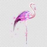 BREAST CANCER AWARENESS 390