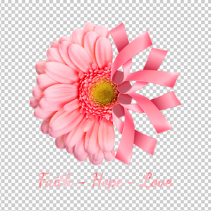 BREAST CANCER AWARENESS 204