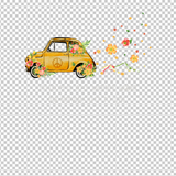 HIPPIE 288
