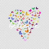BUTTERFLY 11
