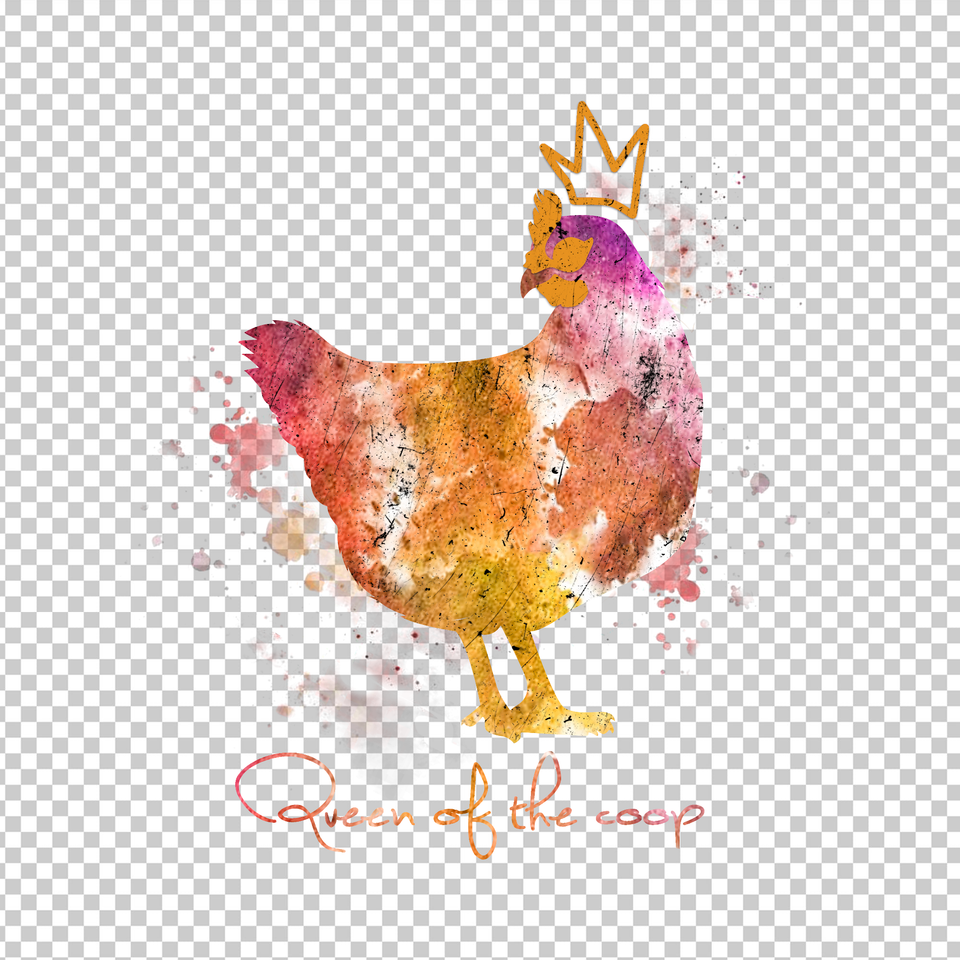CHICKEN 30