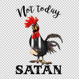 CHICKEN 120