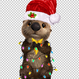 OTTER 20