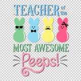 TEACHER 516