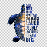 TURTLE 13