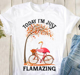 FLAMINGO 26