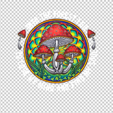 MUSHROOM 10