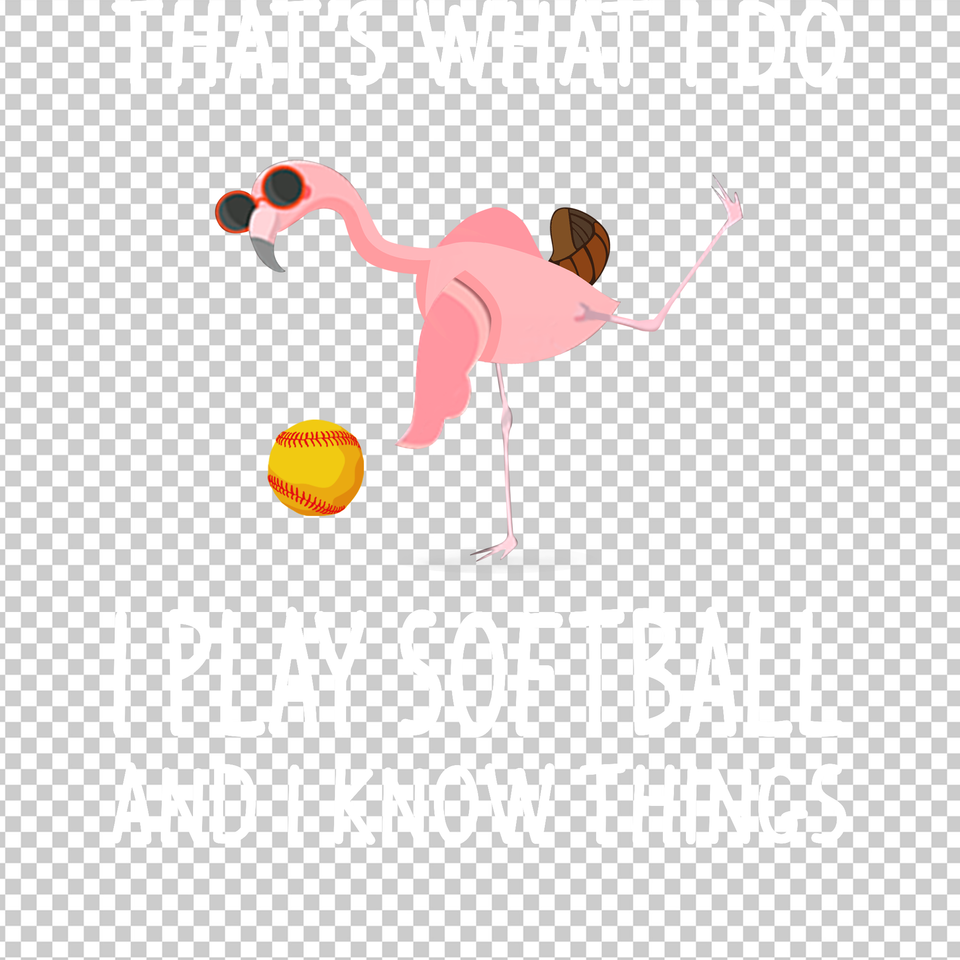 SOFTBALL 192