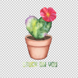 CACTUS 2