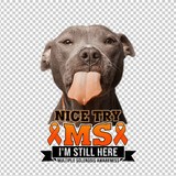 MULTIPLE SCLEROSIS AWARENESS 434