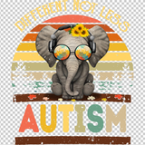 AUTISM AWARENESS 253