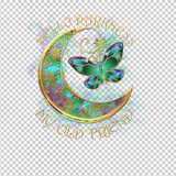 BUTTERFLY 27