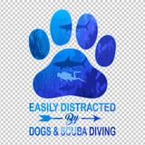 SCUBA DIVING 19