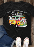 HIPPIE 116