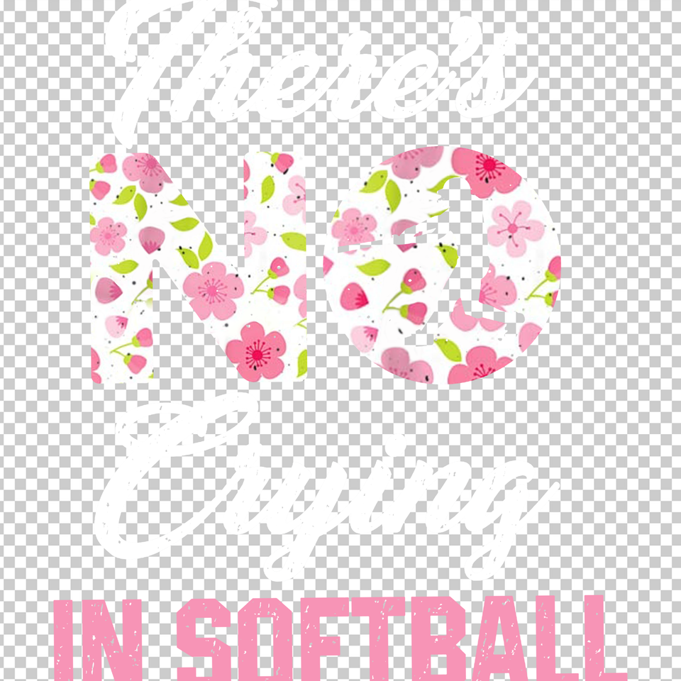 SOFTBALL 221
