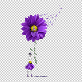 EPILEPSY AWARENESS 17