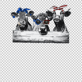 COW 6