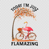 FLAMINGO 26