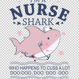 NURSE 312