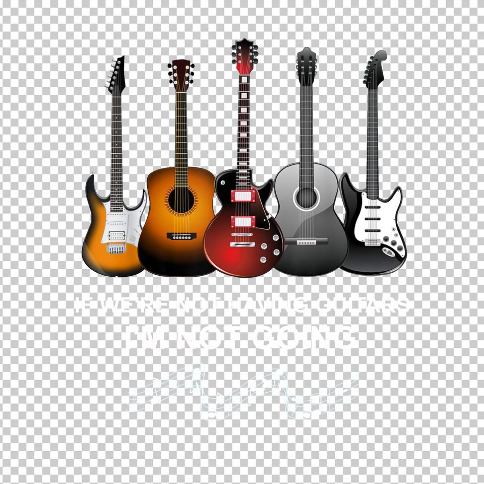 GUITAR 14
