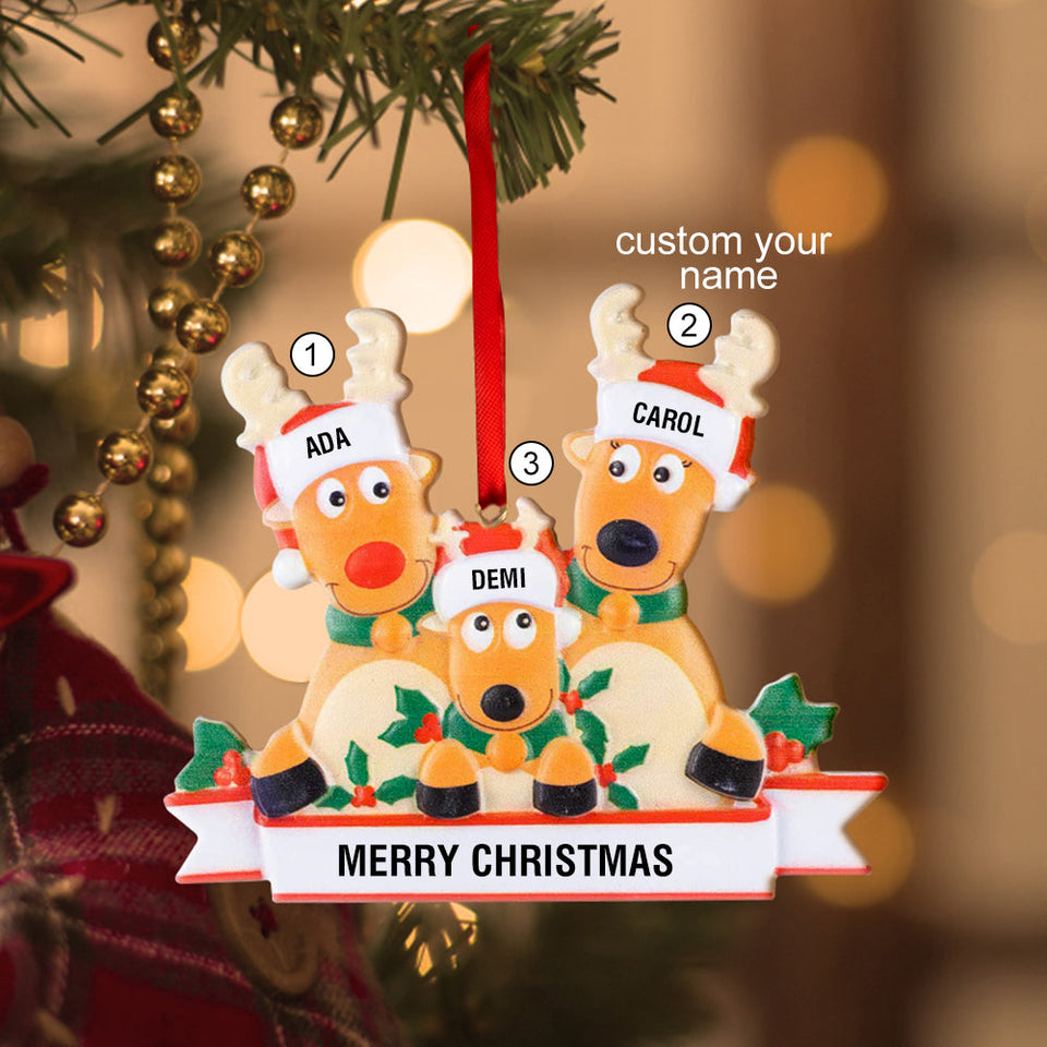 Any Family Name - Personalized Family Gift Ornament