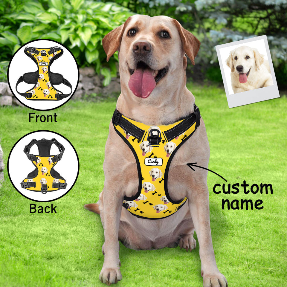 Personalized Dog Photo Bone Pattern Style Dog Harness