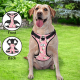 Personalized Dog Photo Bone Pattern Style Dog Harness