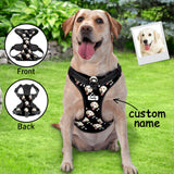 Personalized Dog Photo Bone Pattern Style Dog Harness