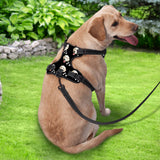 Personalized Dog Photo Bone Pattern Style Dog Harness