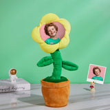 Photo Dancing Plant - Personalized Photo Dancing Plant Recording Music