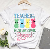TEACHER 516