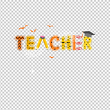 TEACHER 734
