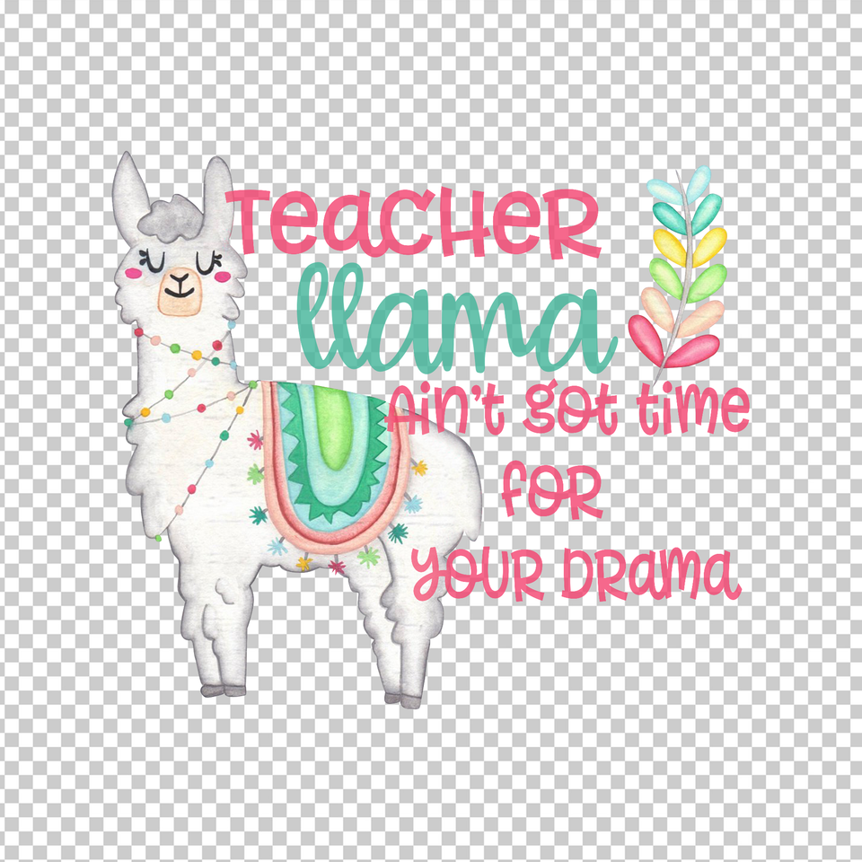 TEACHER 592