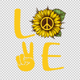 HIPPIE 386