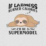 SLOTH 13