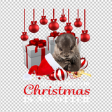 OTTER 16