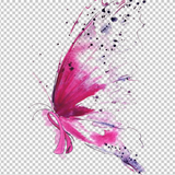 BREAST CANCER AWARENESS 315